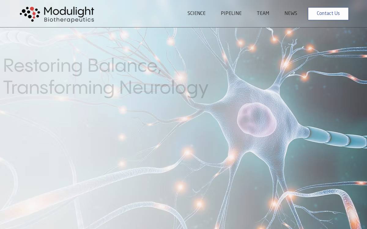 Modulight website preview