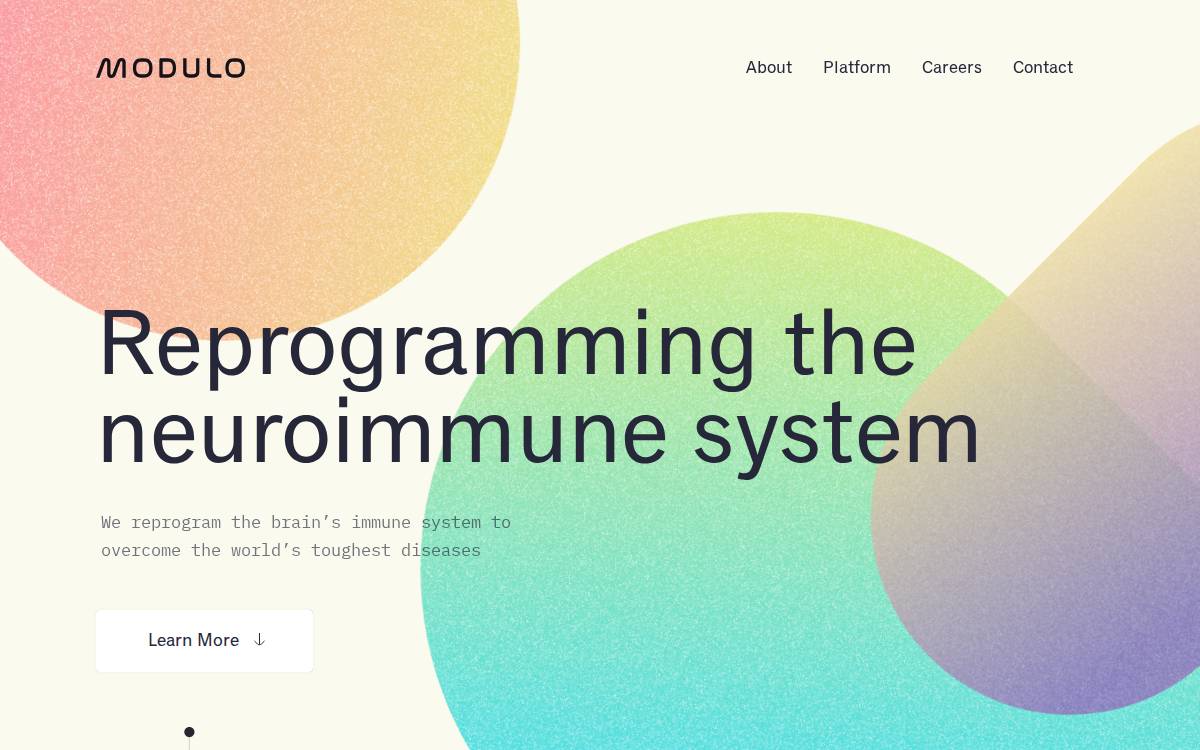 Modulo Bio website preview