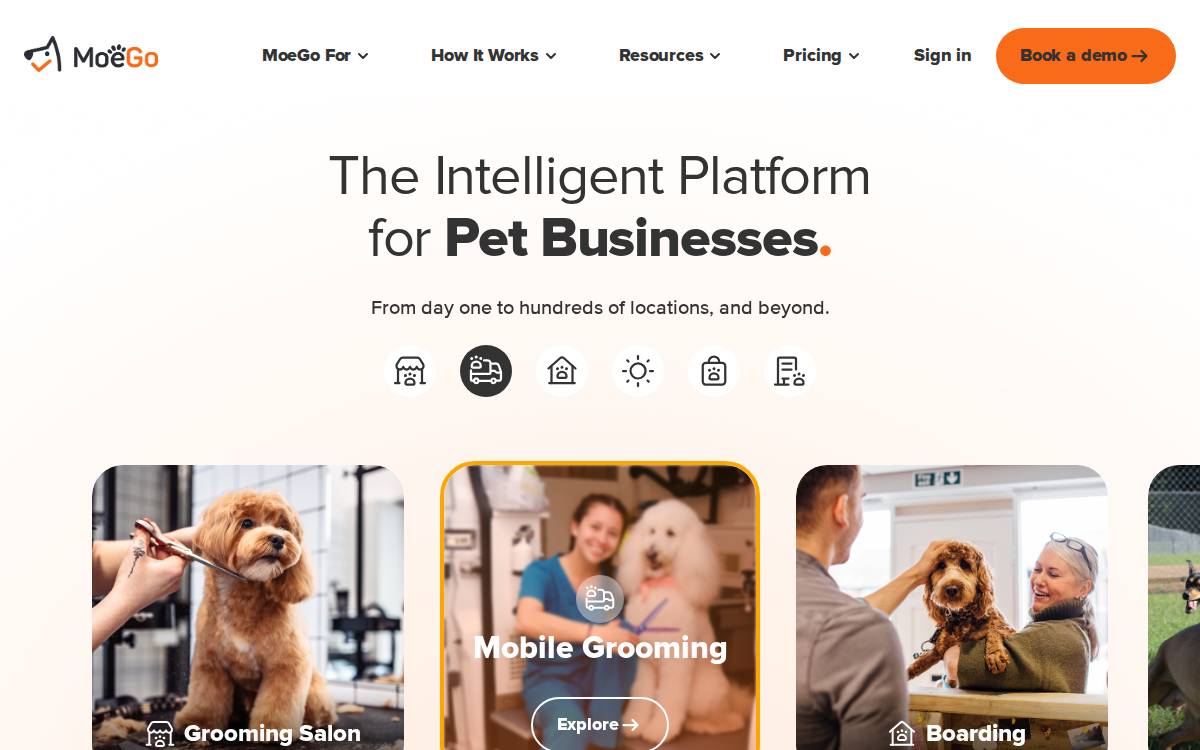 Moego website preview