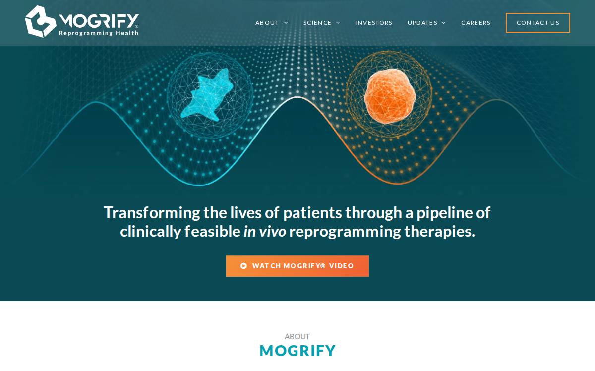 Mogrify Limited website preview