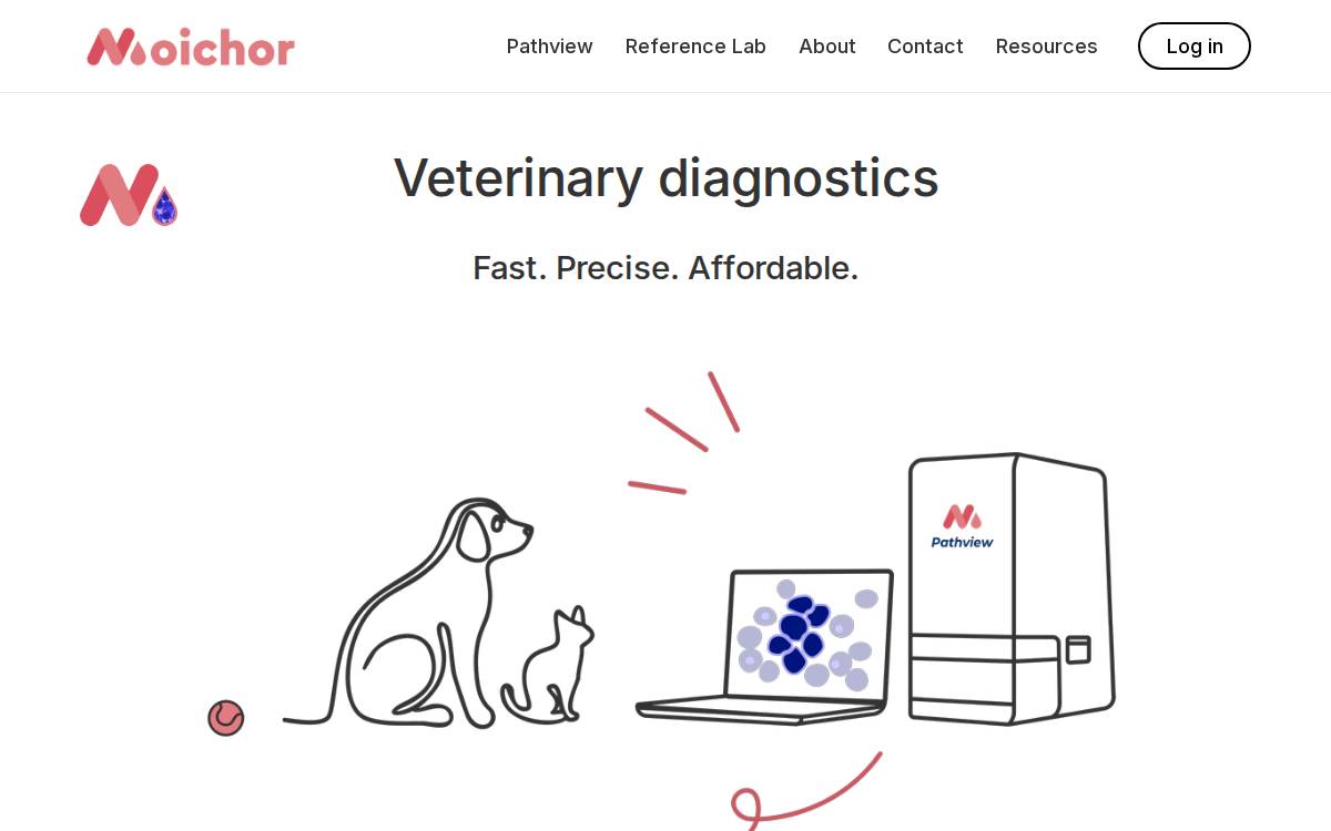 Moichor website preview
