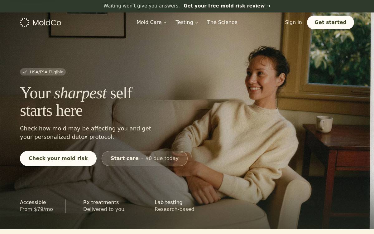 Moldco website preview
