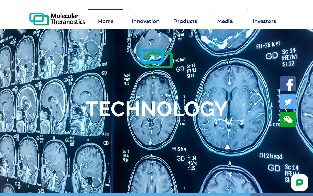 Molecular Theranostics website preview