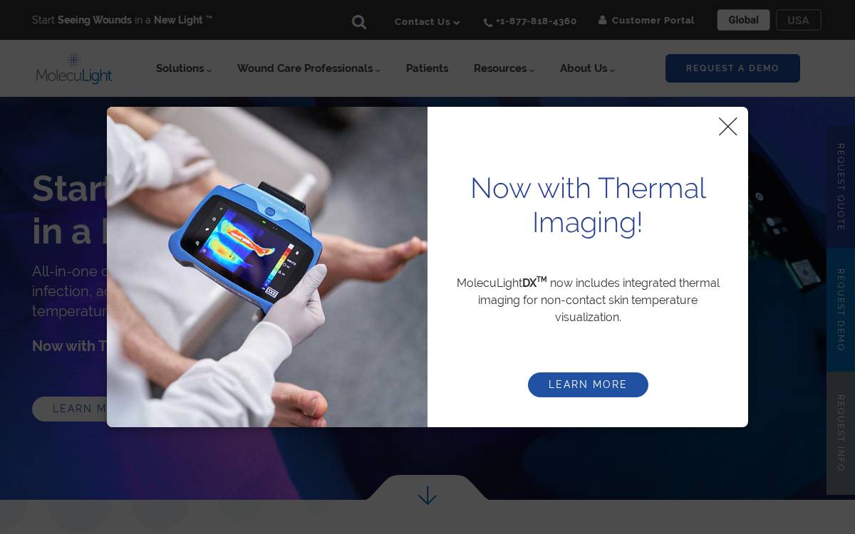 MolecuLight website preview