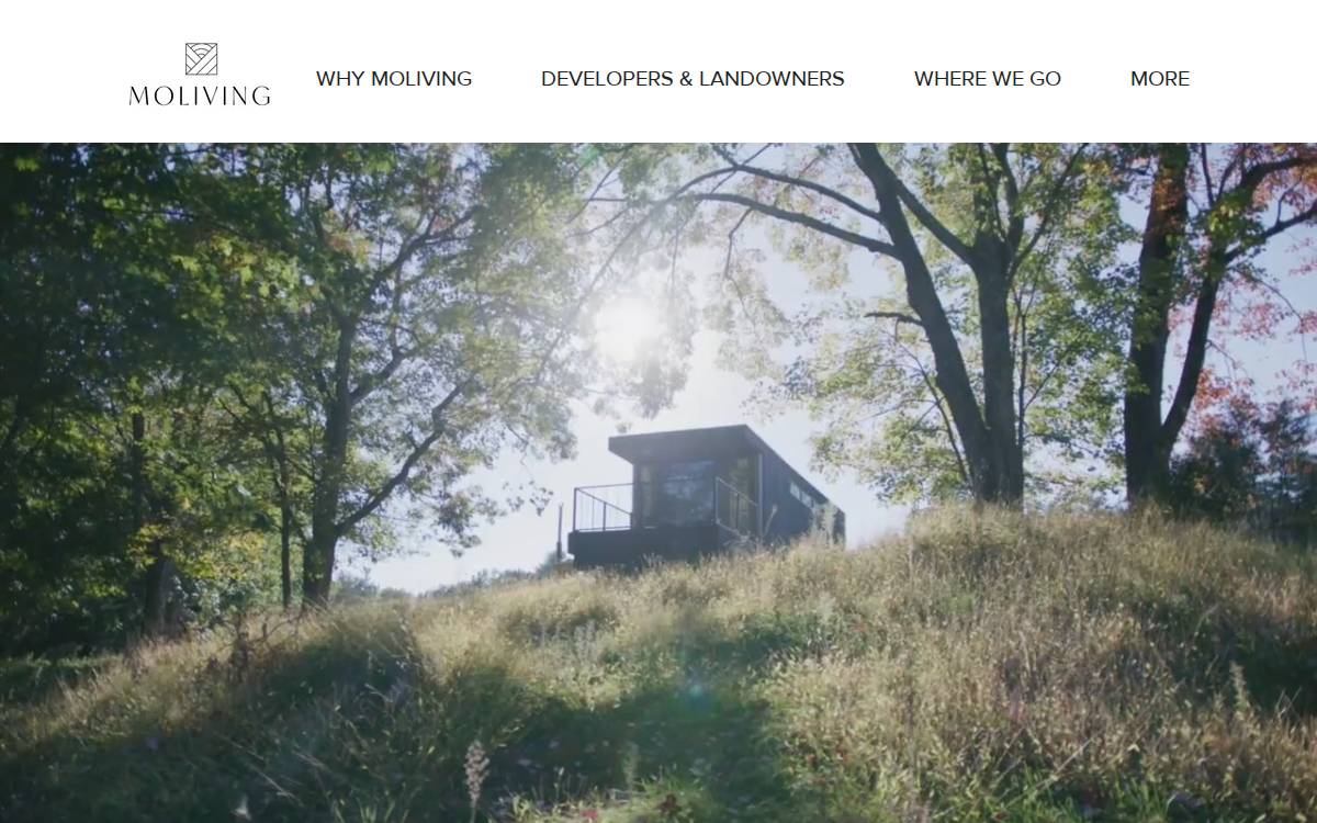 Moliving website preview