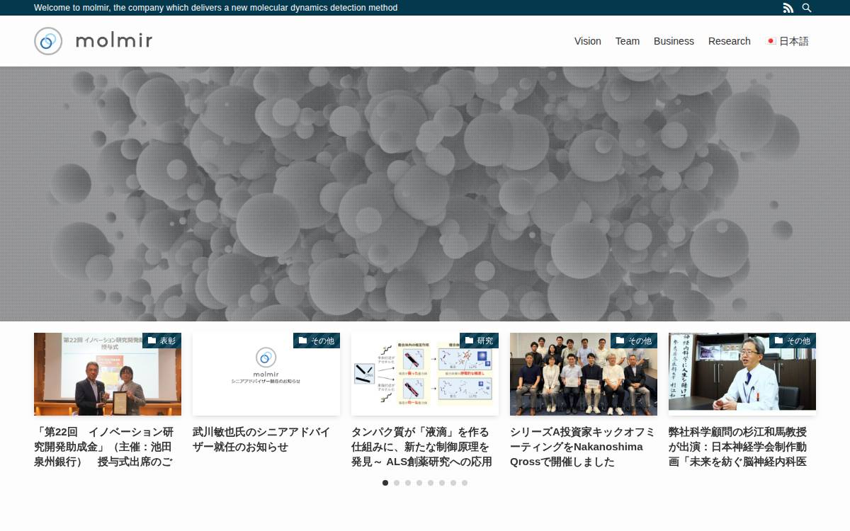 molmir official website preview