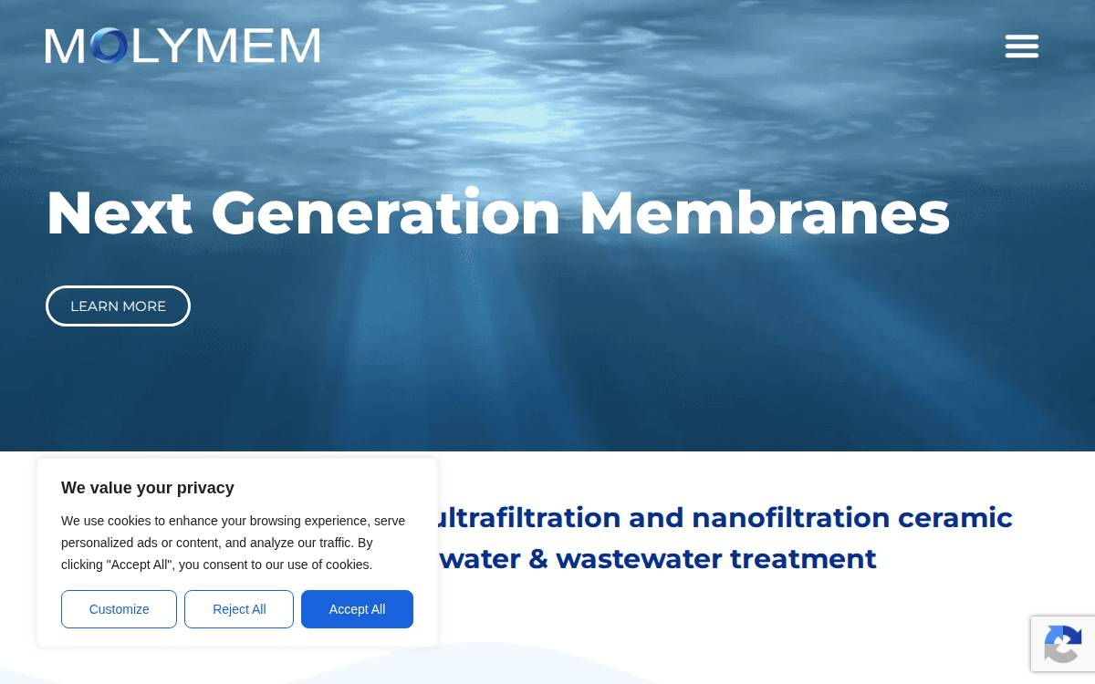 Molymem website preview
