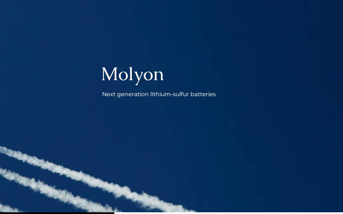 Molyon website preview