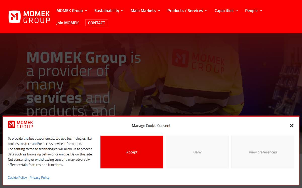 Momek Group website preview