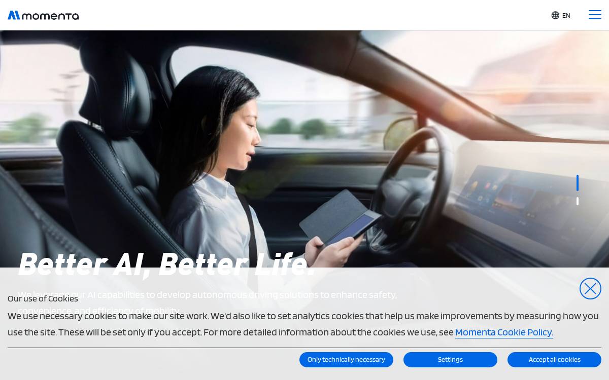 Momenta website preview