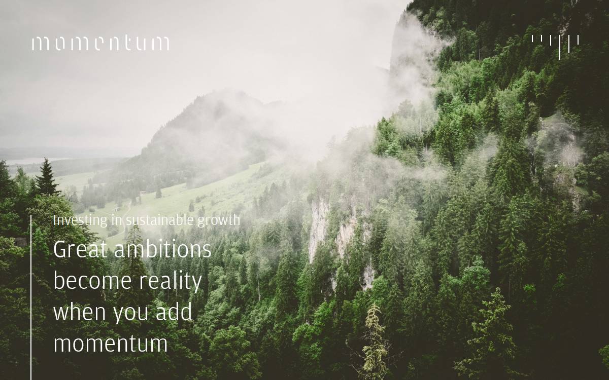 Momentum Adding momentum to ambition Visit Momentum website preview