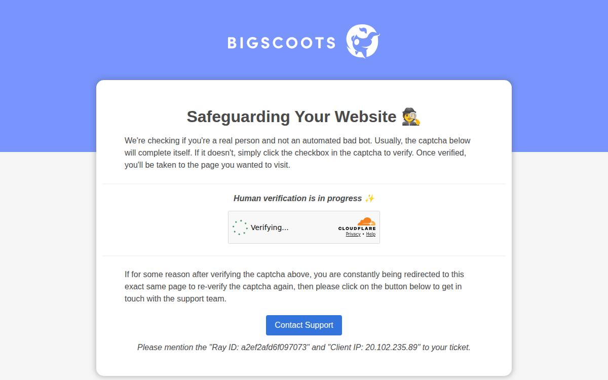 Momentum website preview