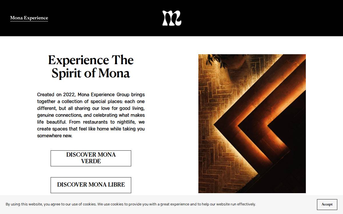 Mona Experience Group website preview