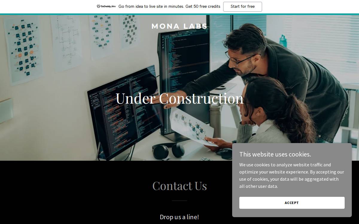 Mona Labs website preview