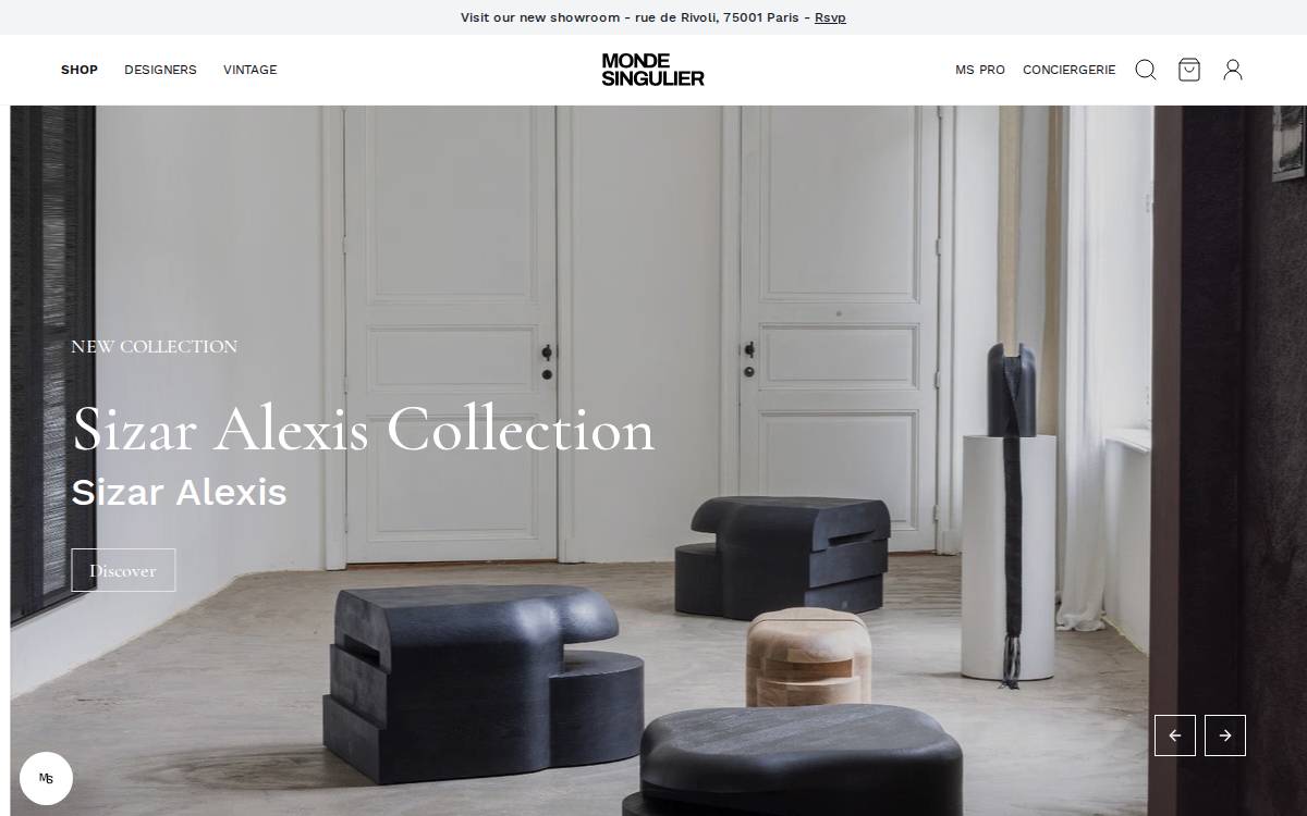 Monde Singulier website preview