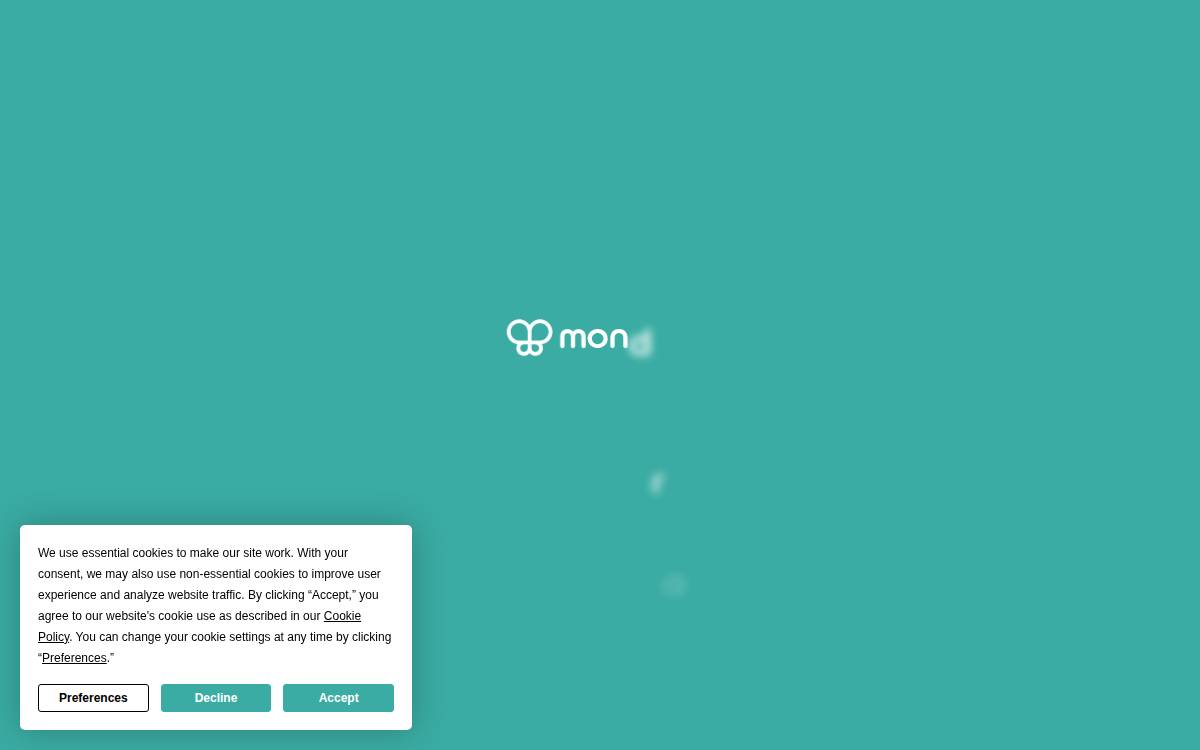 Mondra website preview