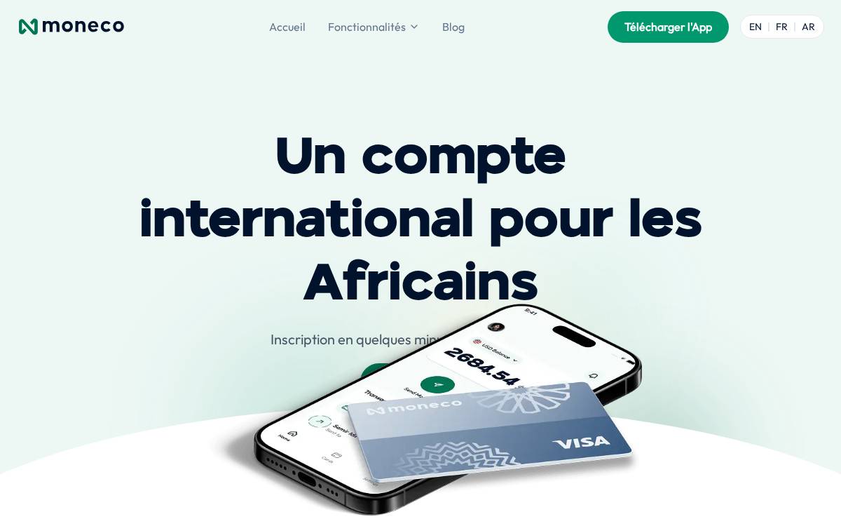 Moneco website preview