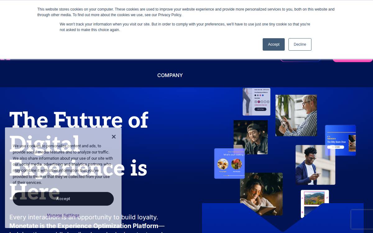 Monetate website preview