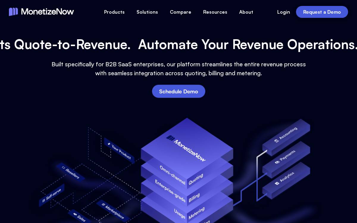 MonetizeNow website preview