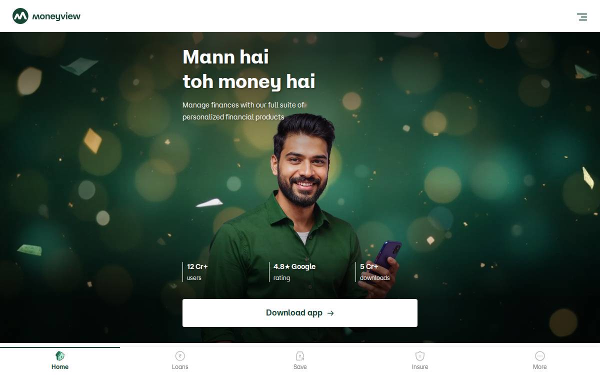 Money View, Homepage website preview