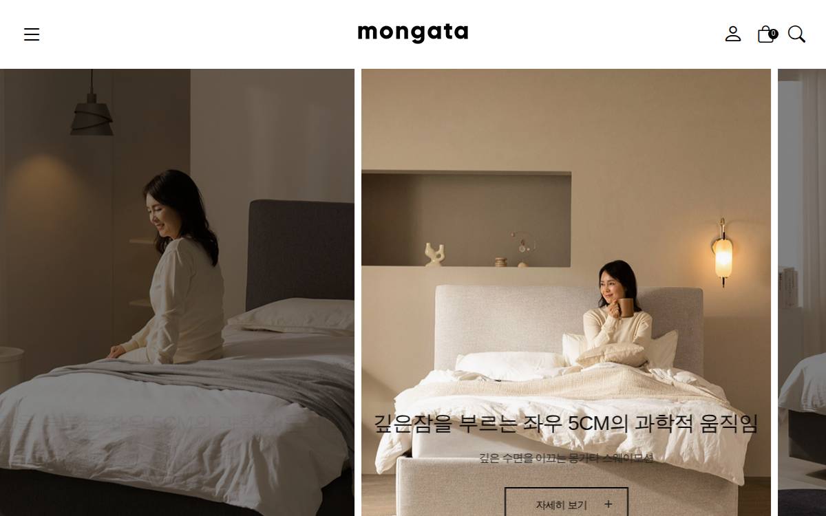 Mongata website preview