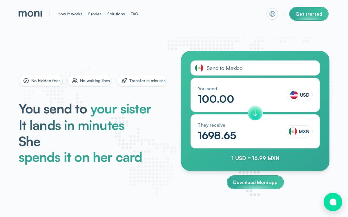 Moni website preview