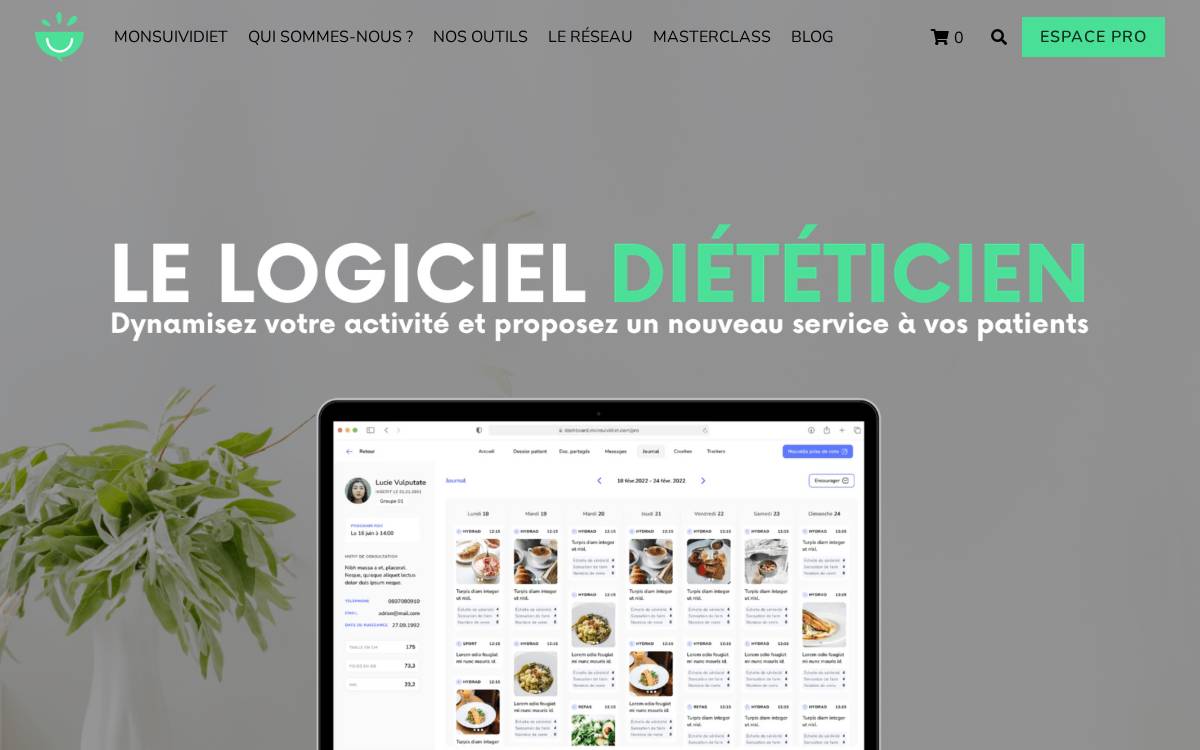Monsuividiet website preview
