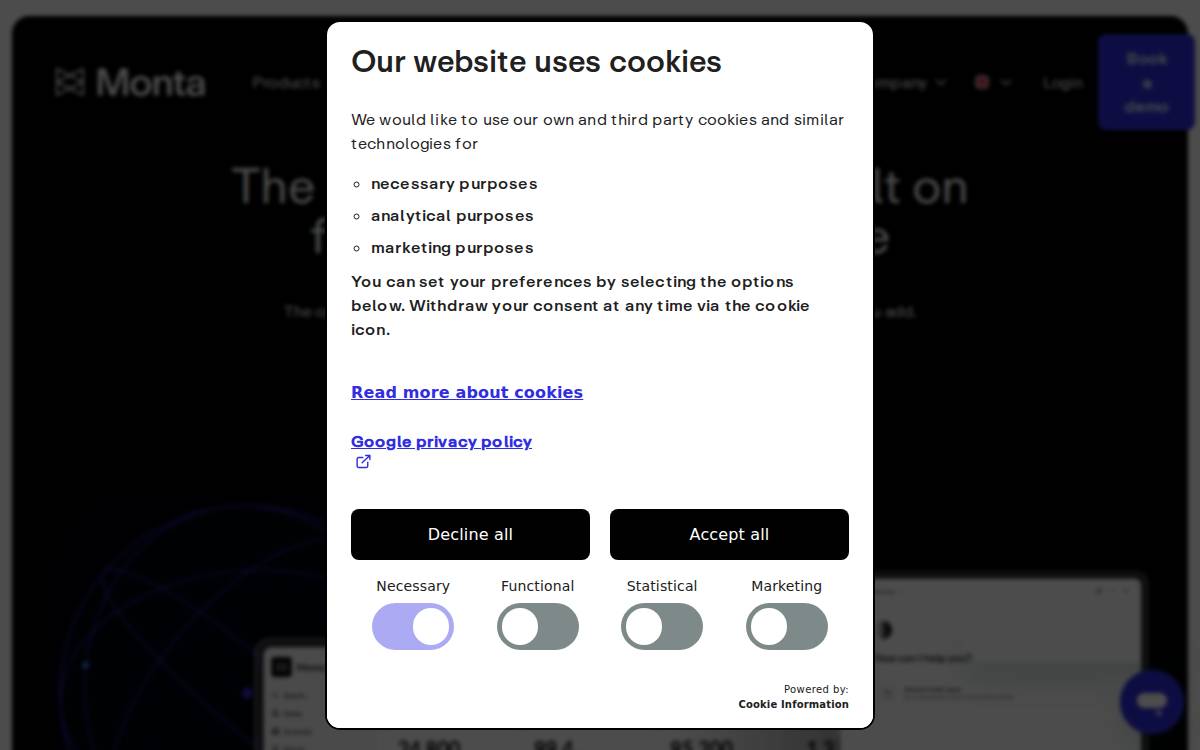 Monta website preview
