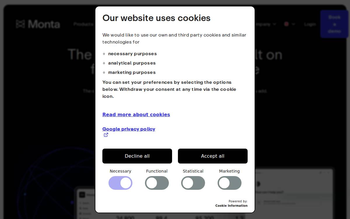 Monta website preview