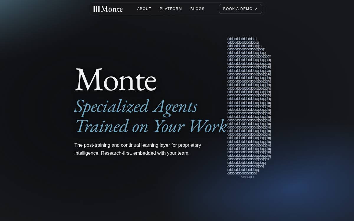 Monte website preview