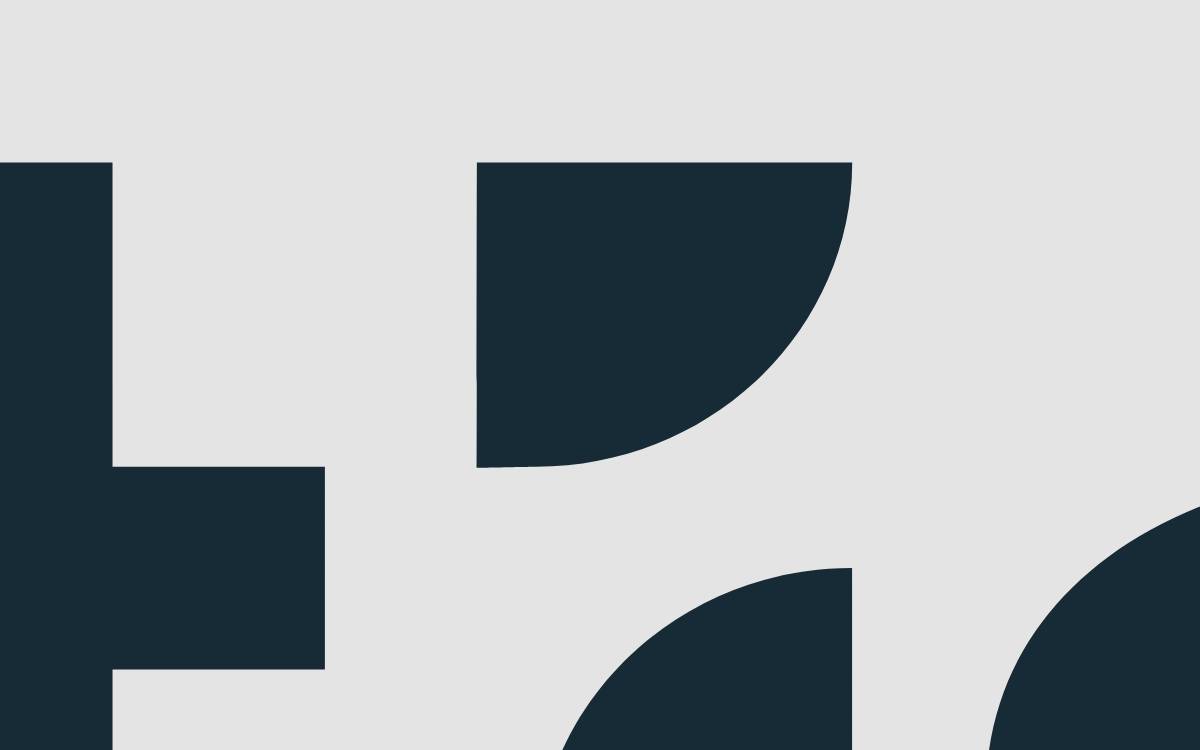 Montis website preview