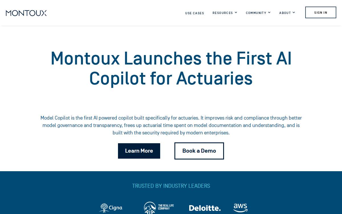 Montoux website preview