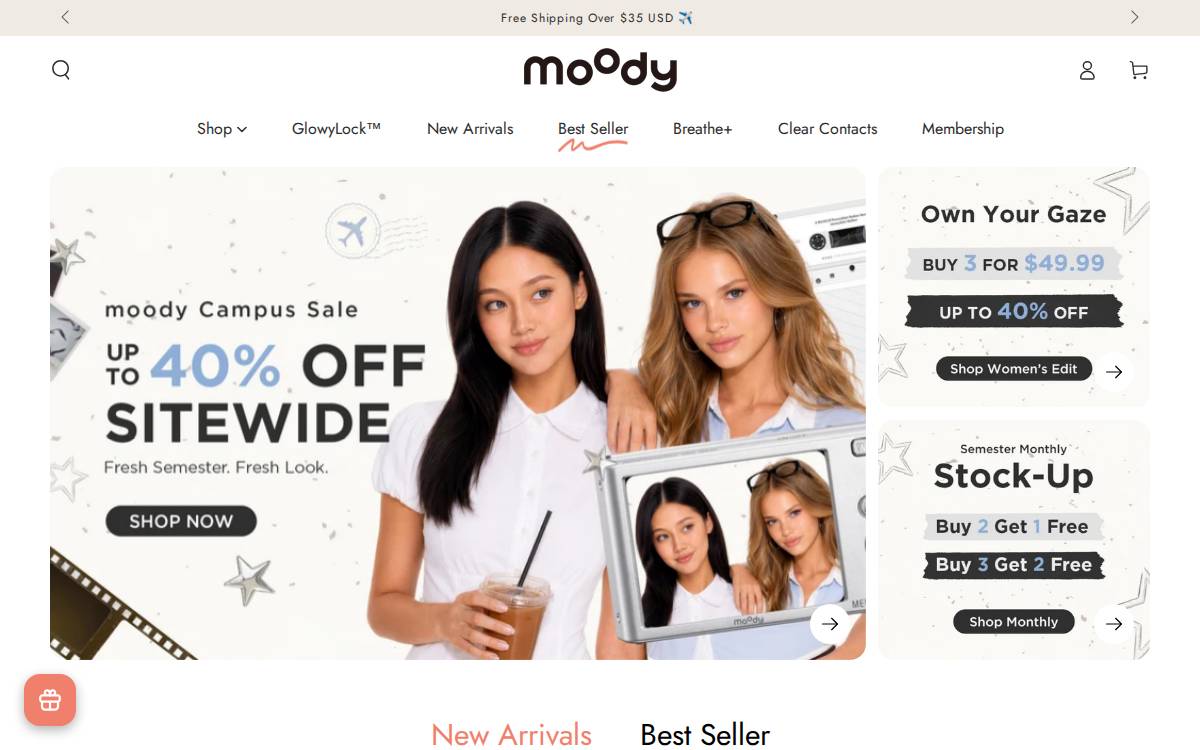 Moody website preview