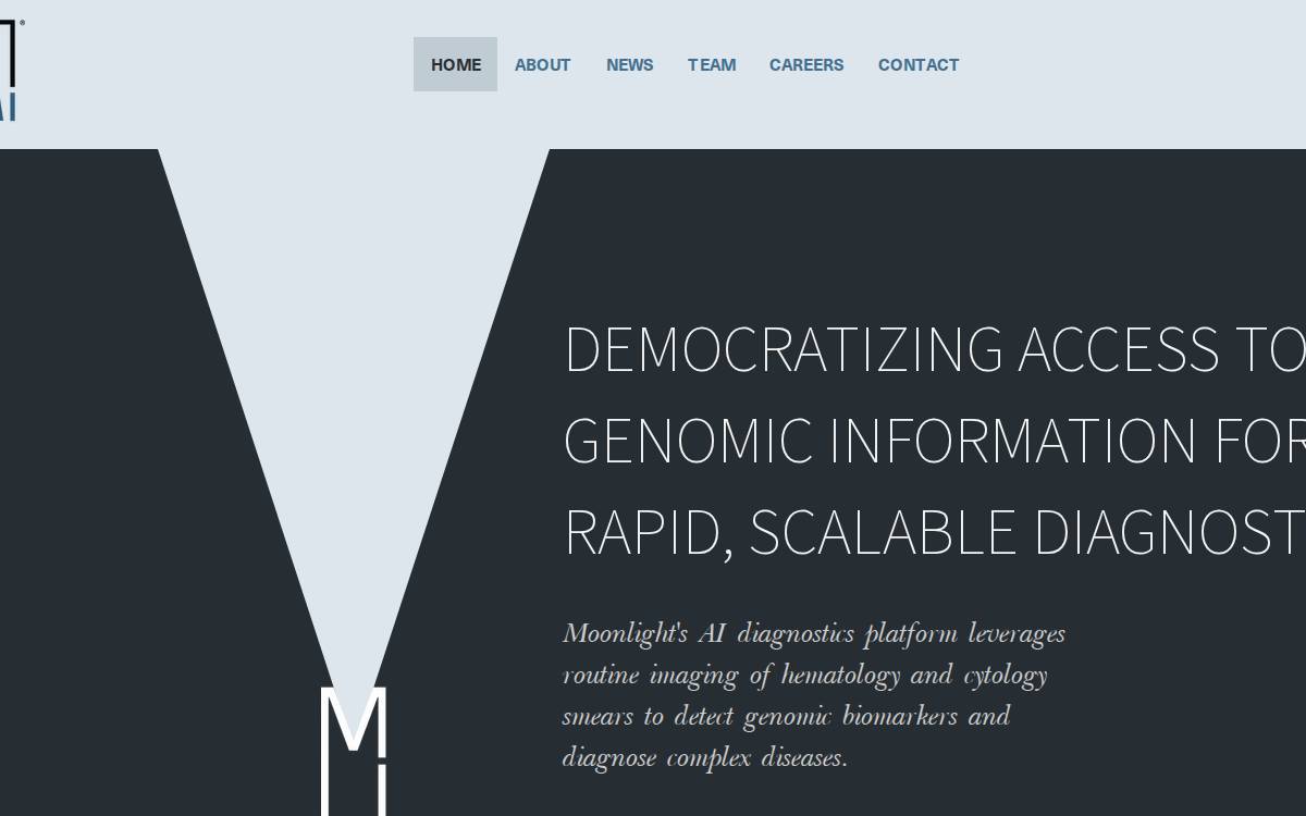 Moonlight AI website preview