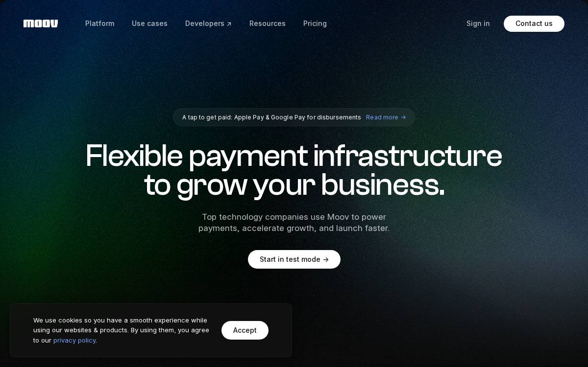 Moov website preview
