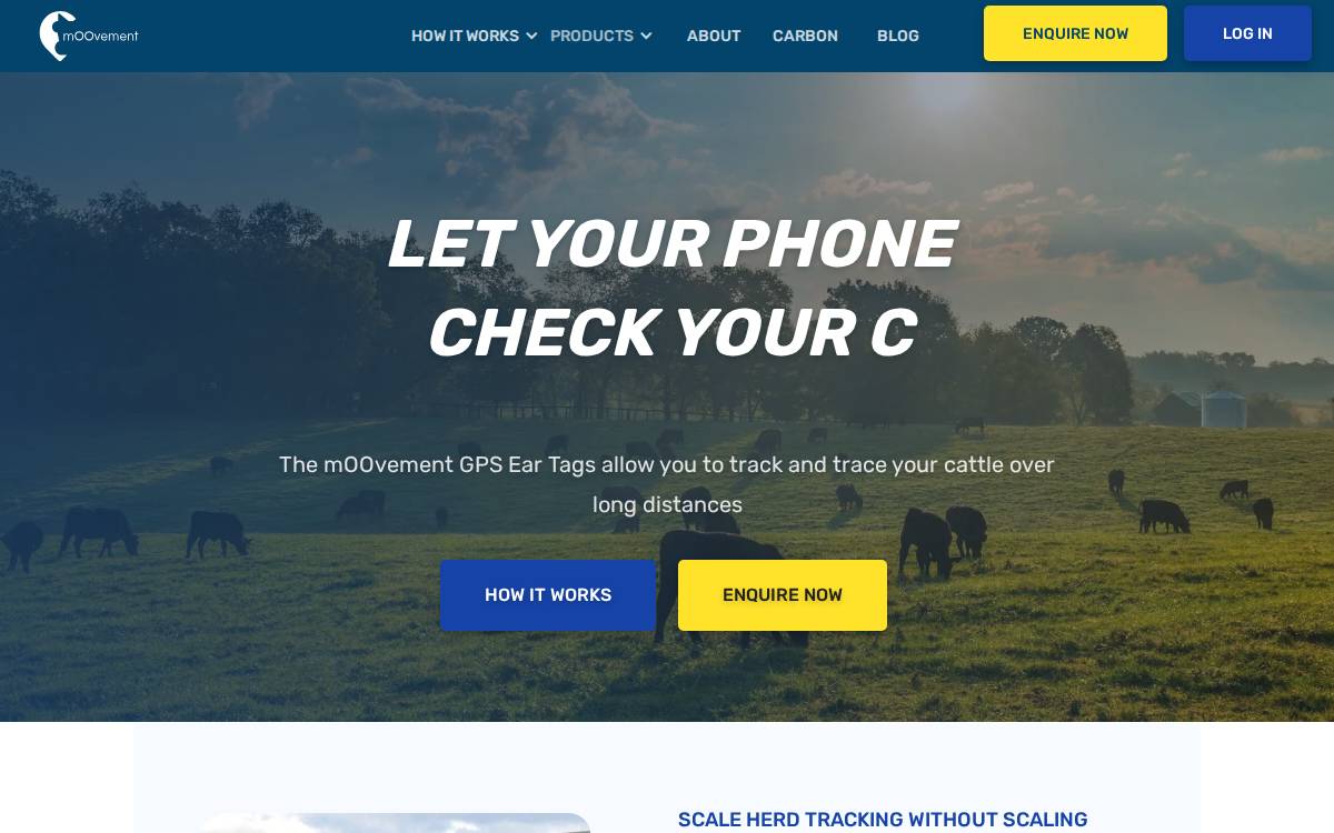 mOOvement website preview