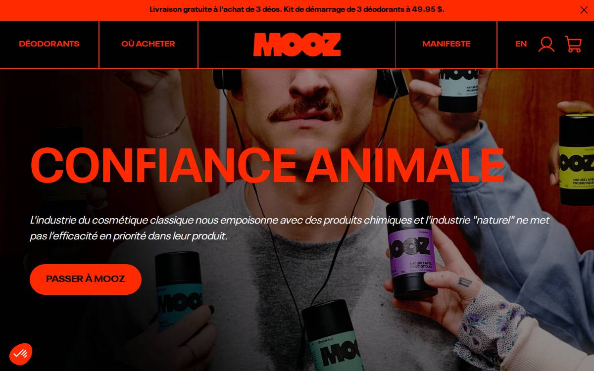 MOOZ website preview