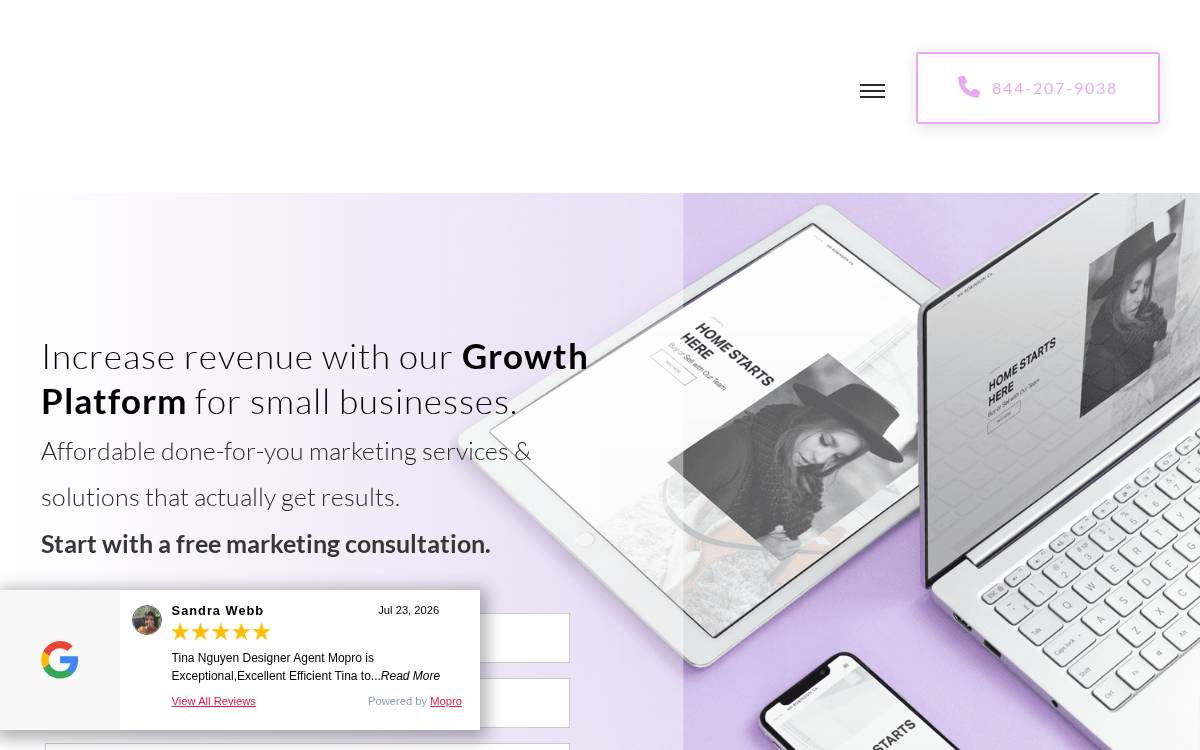Mopro website preview
