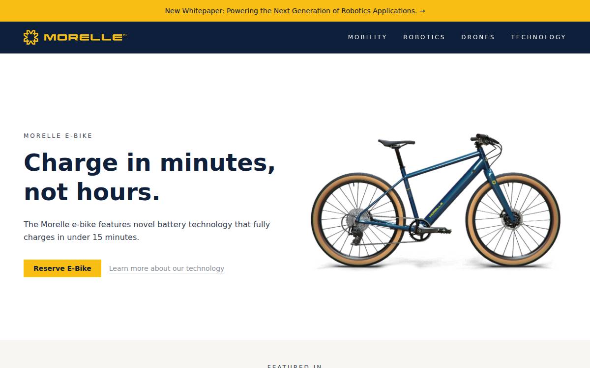Morelle website preview