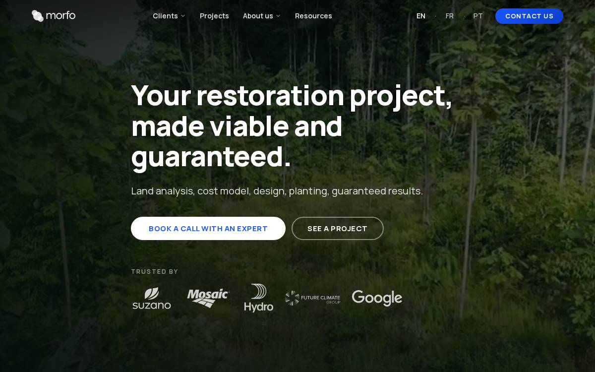 Morfo website preview