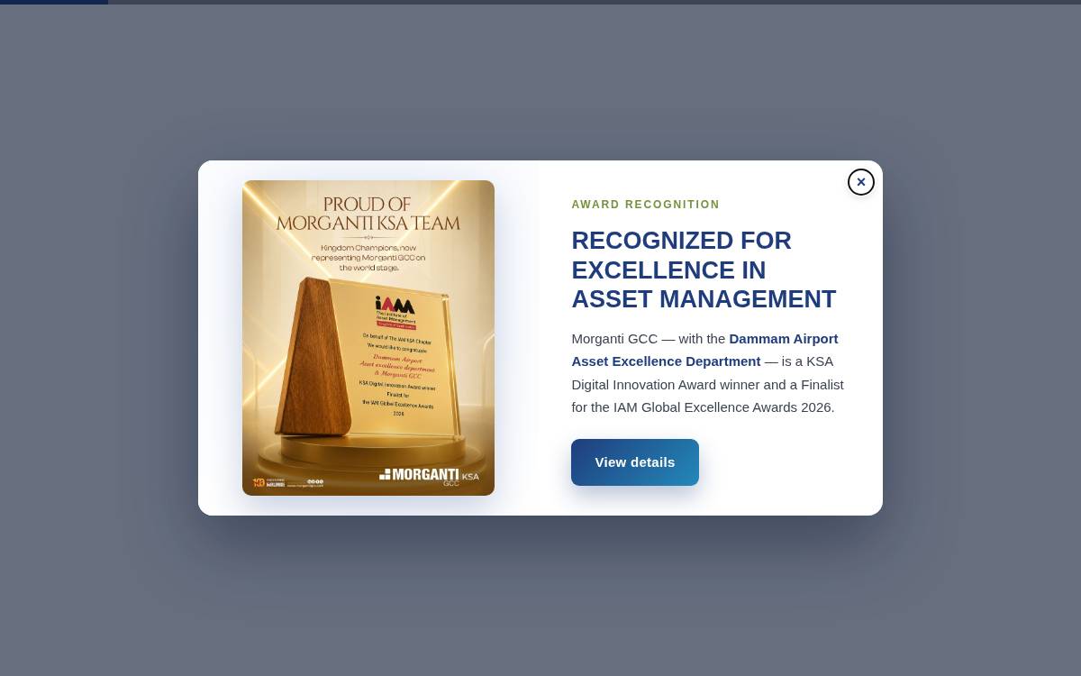 Morganti website preview