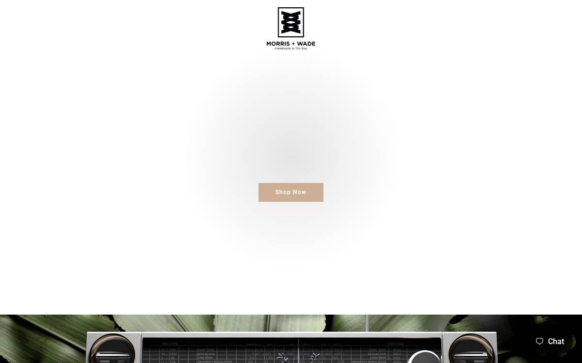 Morrisandwade website preview