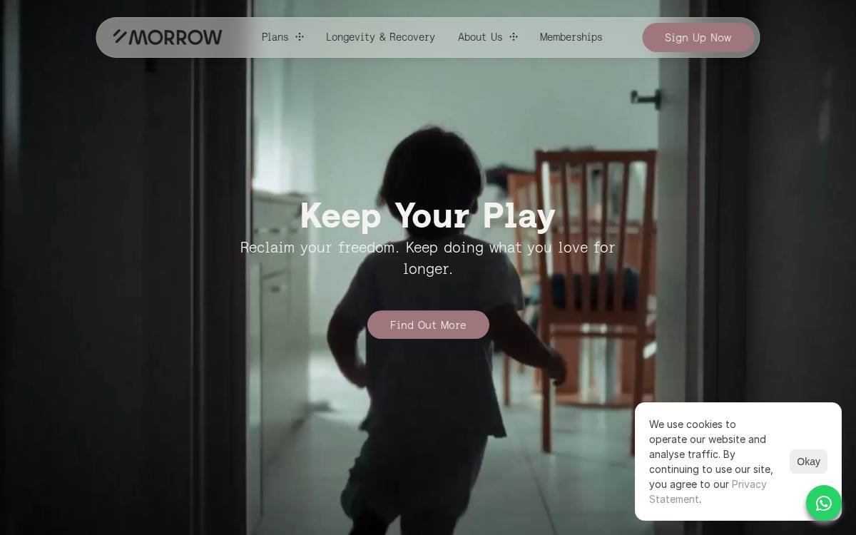 MORROW website preview