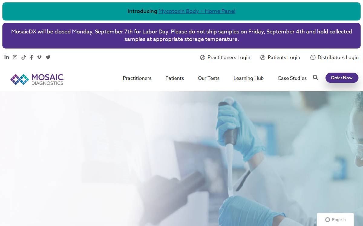 Mosaic Diagnostics website preview