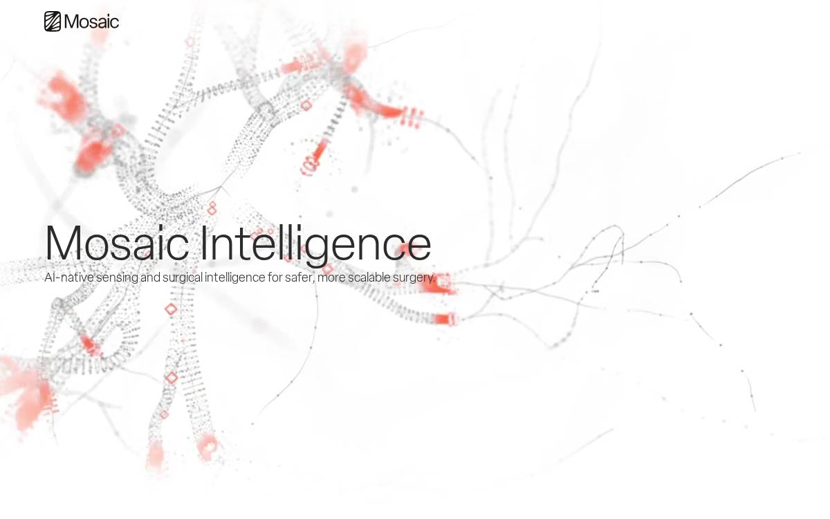 Mosaic Intelligence website preview