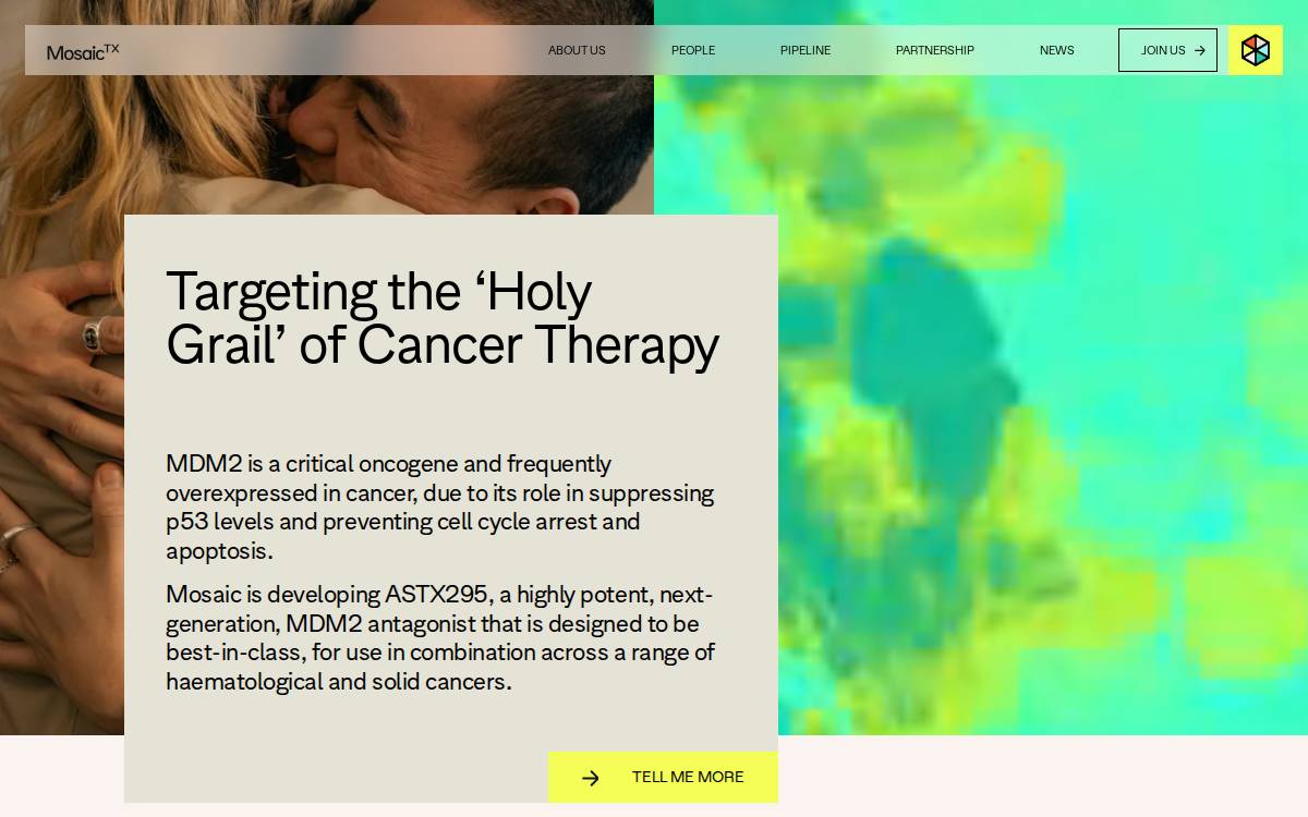 Mosaic Tx website preview
