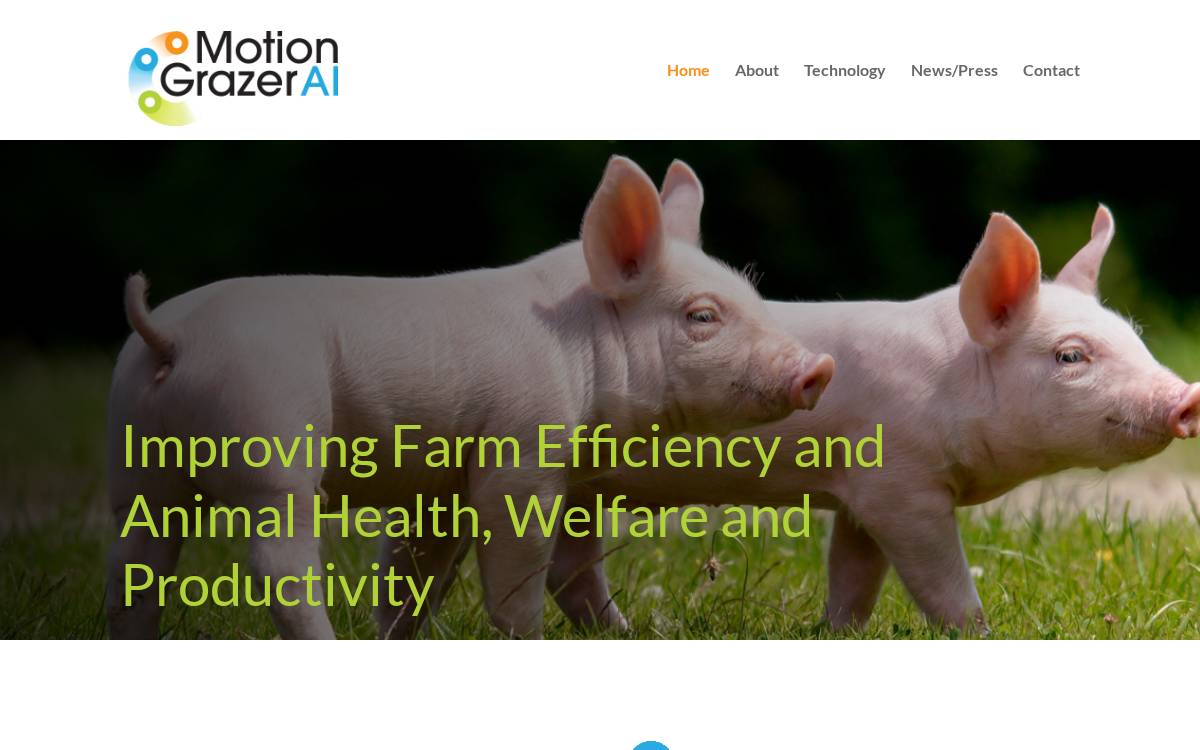 Motiongrazer website preview