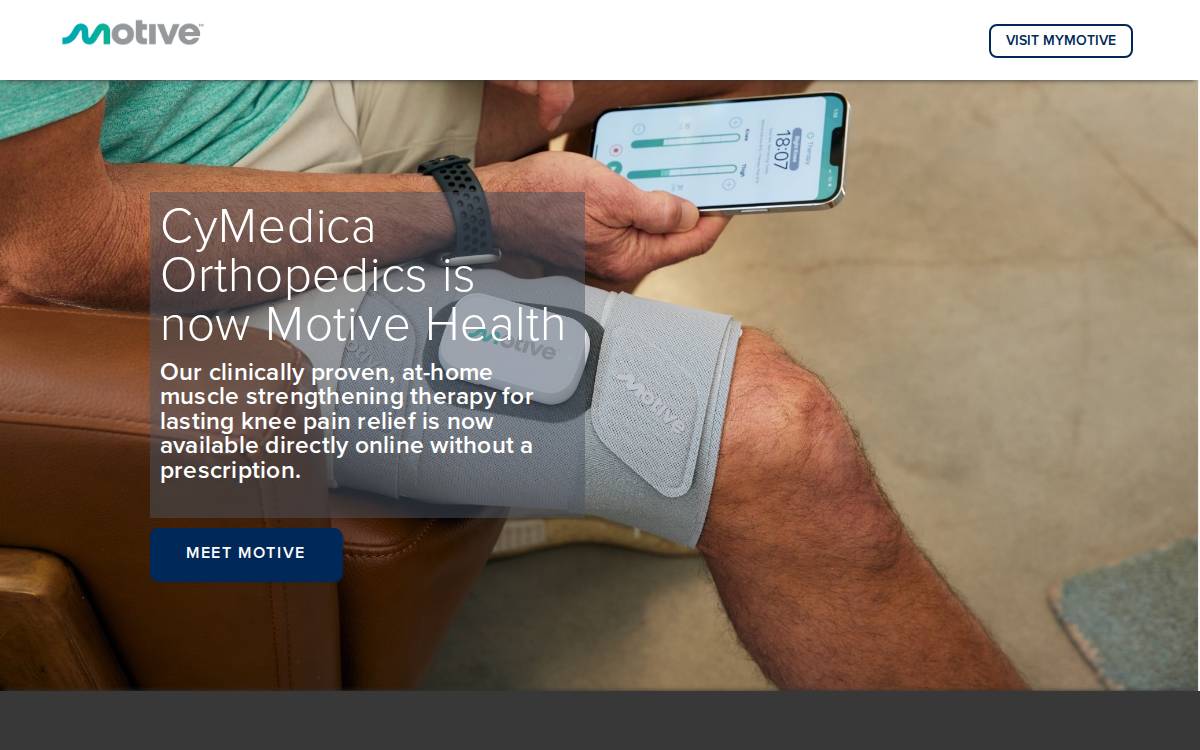 Motive website preview