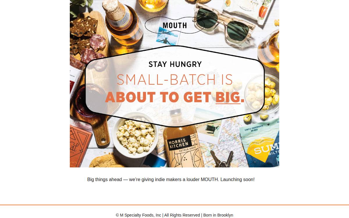 Mouth website preview