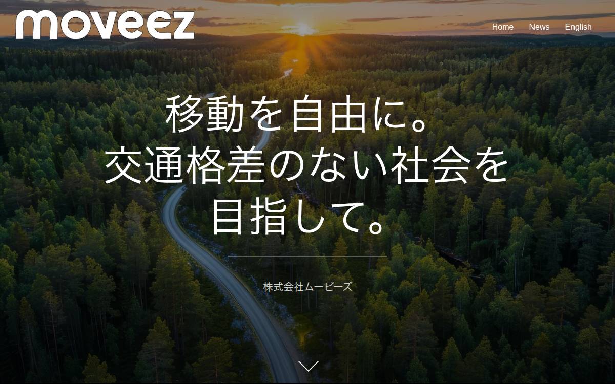 Moveez Inc website preview